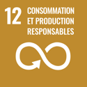 ODD 12 : Consommation et production responsables
